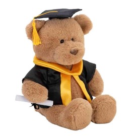 With Heart Medium Graduation Bear Plush Toy with Scroll, 24 cm Size