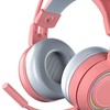 Cat Ear Headphones with Noise Reduction Mic for Girls All