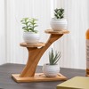 AKONE Cactus Planter Succulent Pot Bamboo Tray