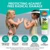 Caribbean Breeze Reef Friendly Kids Sunscreen Lotion SPF 50, Mango