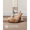 Feandrea Cat Scratching Post, Cat Scratcher for Indoor Cats, 28.7