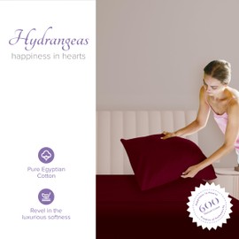 Carressa Linen 100% Egyptian Cotton Pillow Cases Set of 2-600 Thread Count Burgundy Standard/Queen Pillowcase for Sleeping, Soft, Silky Sateen Bed Pillow Cover, Extra Long Staple Pillowcases