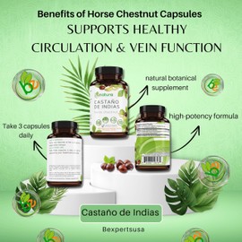 Castaño De Indias (Horse Chestnut Capsules) – 1500 mg per Serving, 90 Veggie Caps, 100% Natural, Premium Dietary Supplement, Made in USA – Supports Circulatory & Vein Health