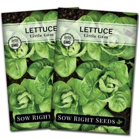 Sow Right Seeds - Little Gem Lettuce Seeds for Planting - Non-GMO Heirloom Packet with Instructions to Plant a Home Vegetable Garden - Outdoors or Indoors Hydroponics - Miniature Romaine Variety (2)