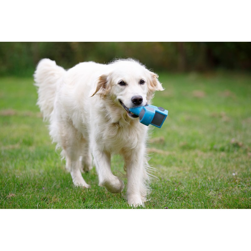 Petface Vehicles Percy Pickup Truck Latex Dog Toy