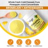 Vegs Pineapple Juice Powder - Freeze Dried Organic Pineapple Powder