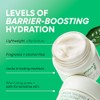 innisfree Hydration Heroes Green Tea Skincare Routine Set: Hydrate &