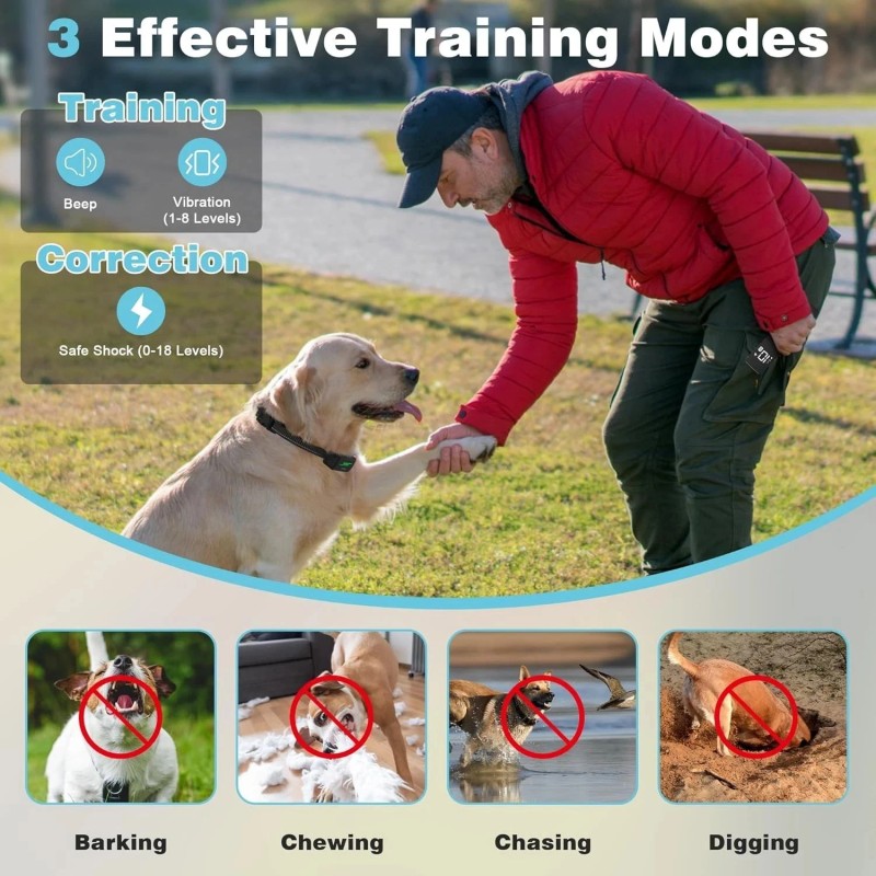 ERSINNO Dog Shock Collar 2 Dogs - with 3 Training