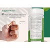 Generic Amla Capsules 500mg Amalaki Fruit (Phyllanthus emblica) Extract 10:1