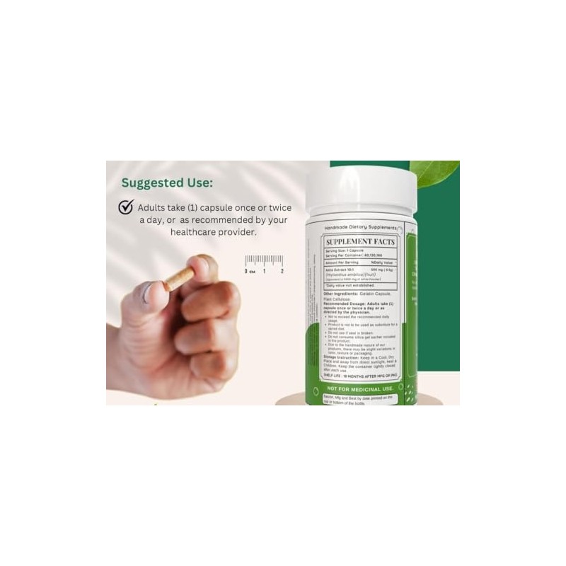 Generic Amla Capsules 500mg Amalaki Fruit (Phyllanthus emblica) Extract 10:1