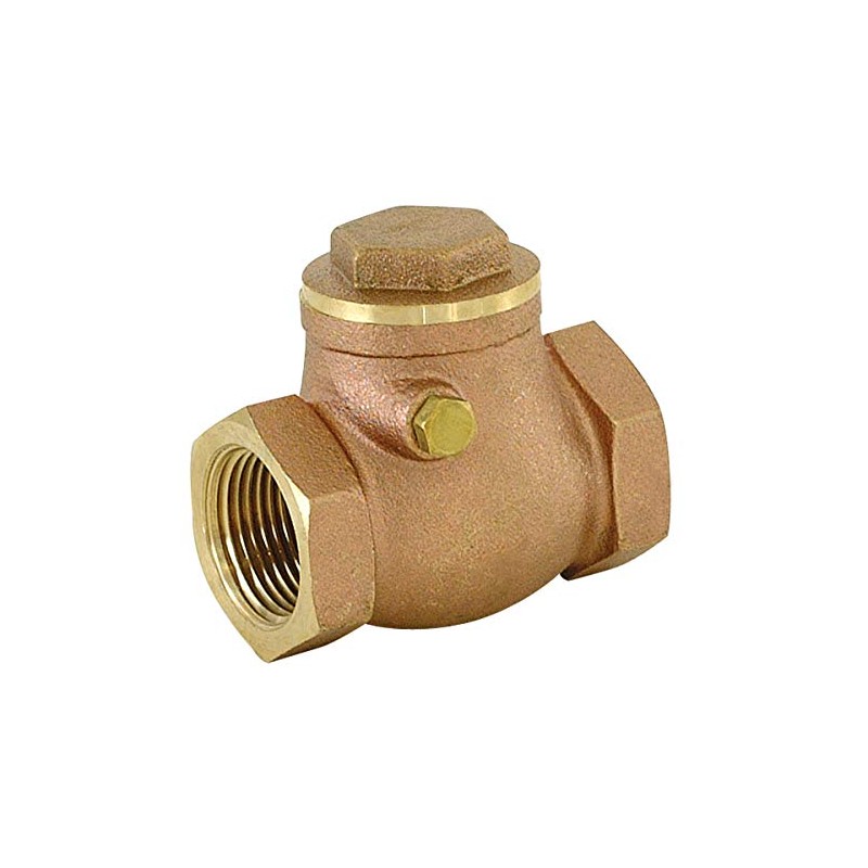 Eastman Brass Swing Check Valve, 3/4 Inch IPS, Brass Plumbing