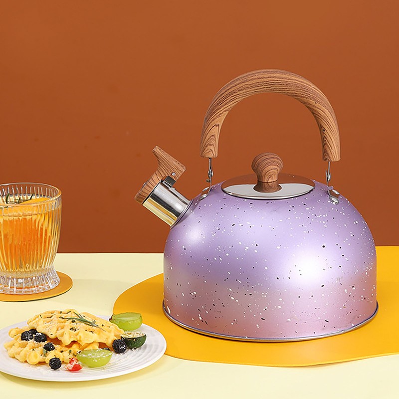 Water Kettle Stainless Steel Whistle Water Kettle Large Capacity Flat