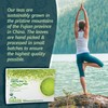 Matcha Teabags MatchaDNA Certified Organic Matcha Green Tea by MATCHA
