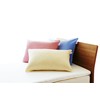 Shop Japan True Sleeper Angel Fit Pillow Cover Blue Authentic
