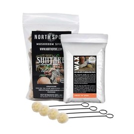 North Spore Log Inoculation Bundle with 100 ct Shiitake Plugs, (4-Pack) Daubers, and 1lb Wax