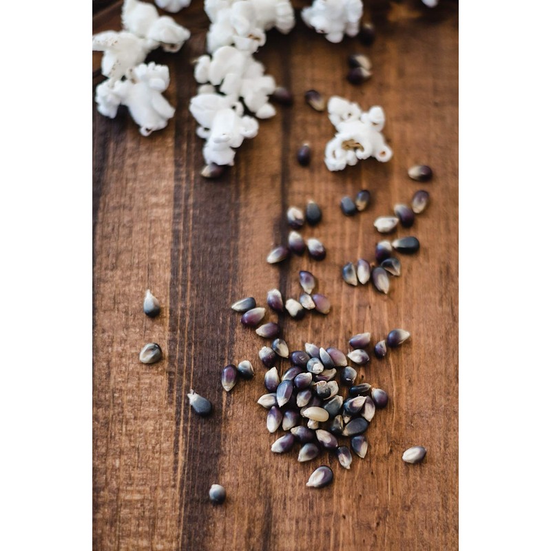 Amish Country Popcorn | 1 Lb Midnight Blue Kernels |