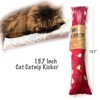 BALLMIE Cat Toys Catnip Kicker 15.7" Soft Velvet Clothing Catnip
