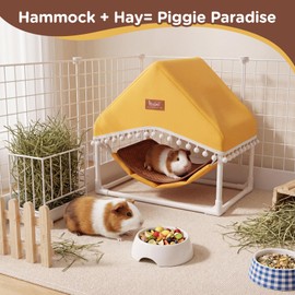 HOSUKKO Guinea Pig Hammock with Stand,Rabbit Bed with Removable Cushion,Hamster Hideout House,Small Animals Accessories for Guinea Pigs,Hamsters,Ferrets,Chinchillas,Hedgehogs