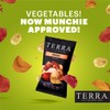 Terra Original Sea Salt Real Vegetable Chips 1.5 oz (Pack