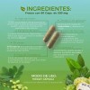 Suplemento Neem+omega 3+noni+té Verde 90 Caps 500mg