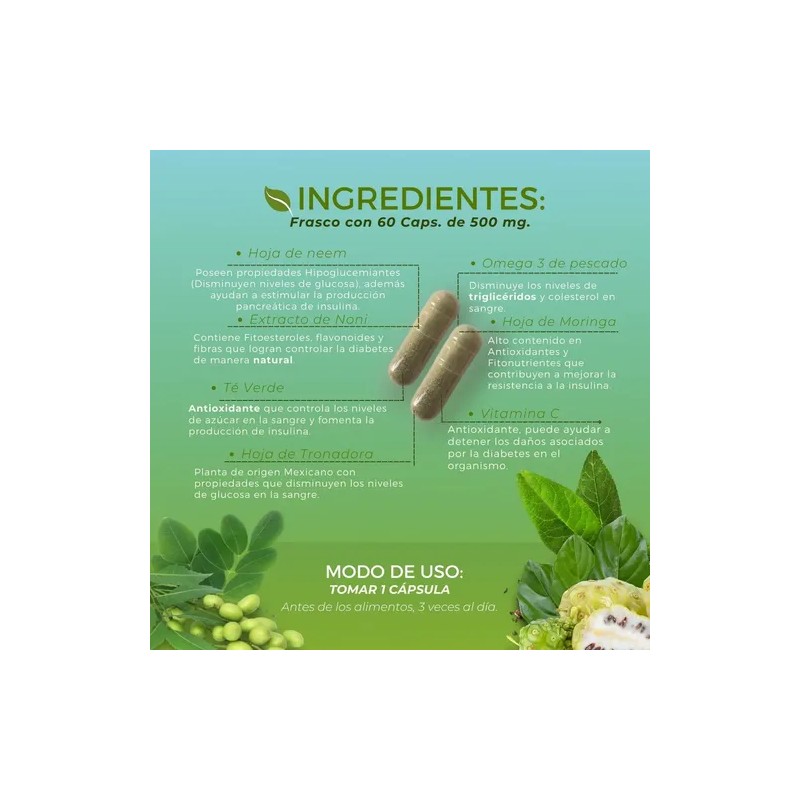 Suplemento Neem+omega 3+noni+té Verde 90 Caps 500mg