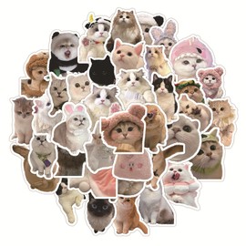 56 PCS Cute Cat Stickers for Kids, Funny Stuff Water Bottle Stickers for Laptop Vinyl Classroom Prize, Things Birthday Gifts Cute Stuff for Boys Girls Adults Teens (Cat)