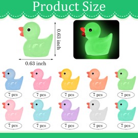 Yuronam 70 Pcs Luminous Tiny Ducks Mini Resin Ducks Glow in The Dark Duck Miniature Ornaments for Slime, Dollhouse, Garden Decoration(Multi Colors)