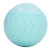 Smart Pet Toy Ball ABS and Silicone Automatic Rolling Toy
