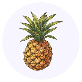 24 x 40mm Round 'Single Pineapple' Stickers (SK00067539)