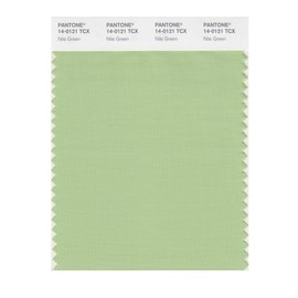 PANTONE Smart 14-0121X Color Swatch Card, Nile Green