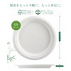 OasisSN Disposable Paper Plates, Set of 68, Eco-Friendly, Durable, No