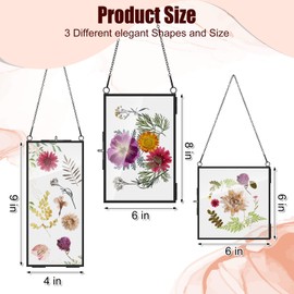 Barydat 9 Pack Black Glass Frames for Pressed Flowers 6 x 6, 6 x 8, 4 x 9 in Hanging Picture Frame Floating Art Photo Display Frame Double Glass with Chain for Dried Plant Specimen Gallery Wall Decor