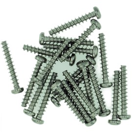 D4 (4mm x 18mm) TX Pan Screws for Plastic - Stainless Steel (A2) (Pack of 20)