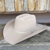 Stetson Rodeo Jr. Buck Wool Felt Cowboy Hat
