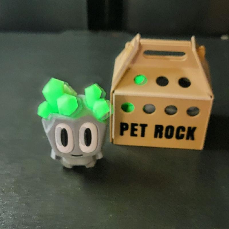 Pet Rock- 3d printed
