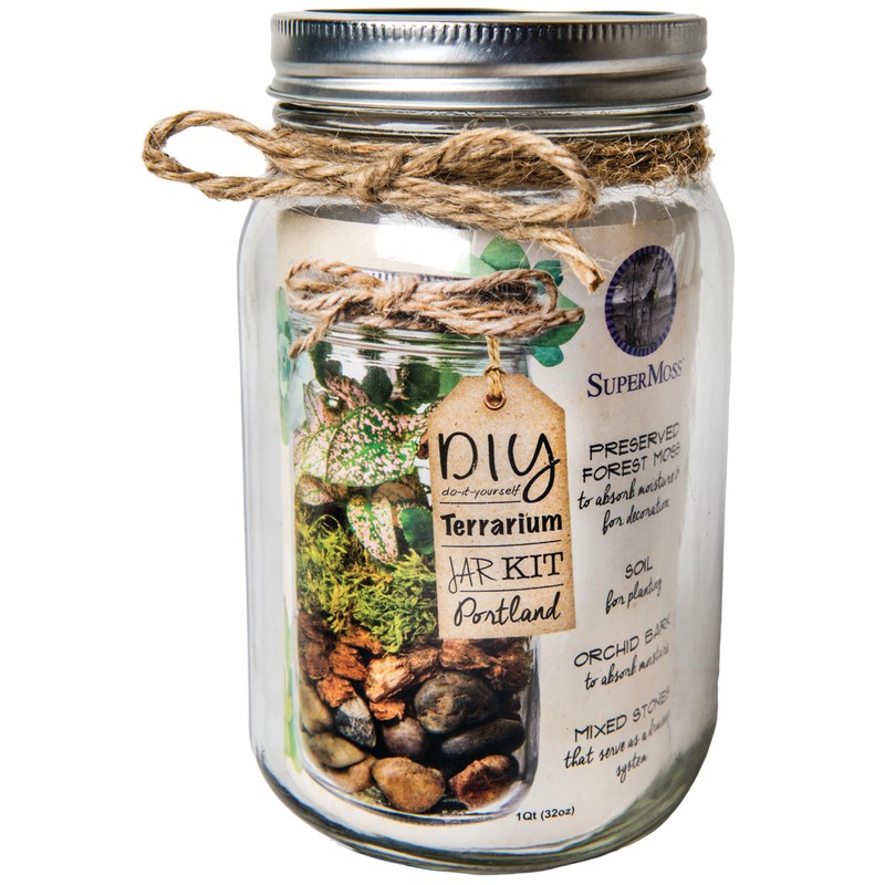 Portland Terrarium kit - DIY Mason Jar Terrarium Kit