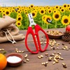 Red Melon Seed Cracker Plier, Sunflower Seeds Plier Opener -