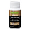 Vitaceuticals Berberine+ Supplement - 500mg Berberine with Ceylon Cinnamon &