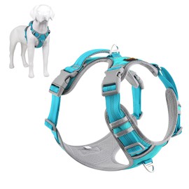 Plutus Pet No Pull Dog Harness, Release at Neck, Reflective Adjustable Dog Vest Harness, Easy Control Handle for Walking, for Small Medium Large Dogs, Cyan, XL