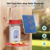Hummingbird Feeder with Camera Solar Powered, 2K Live Stream Smart