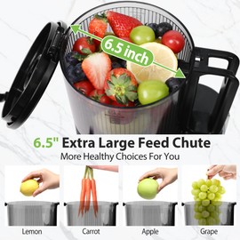 Cold Press Juicer, 6.5" Extra Large Feed Chute Juicer Machines, 350W Slow Masticating Juicer Machines with High Juice Yield for Whole Vegetables & Fruits, BPA Free, Black, Easy to Clean