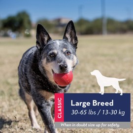 KONG - Ball with Hole - Durable Rubber, Fetch Toy - for Medium/Large Dogs