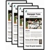 Goldfinch 4 Packs, 11x22 Newspaper Frame to Hold Assorted Media,