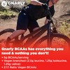 Gnarly Nutrition Gnarly Nutrition Gnarly Whey Grass-Fed Protein Supplement, Vanilla