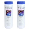 SpaChoice 472-5-0360-02 pH Decreaser for Hot Tub, 2.5-Pounds, 2-Pack