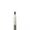 Jane Iredale 제인 아이레데일 립 브러시 작고 뾰족한 코스메틱 립스틱