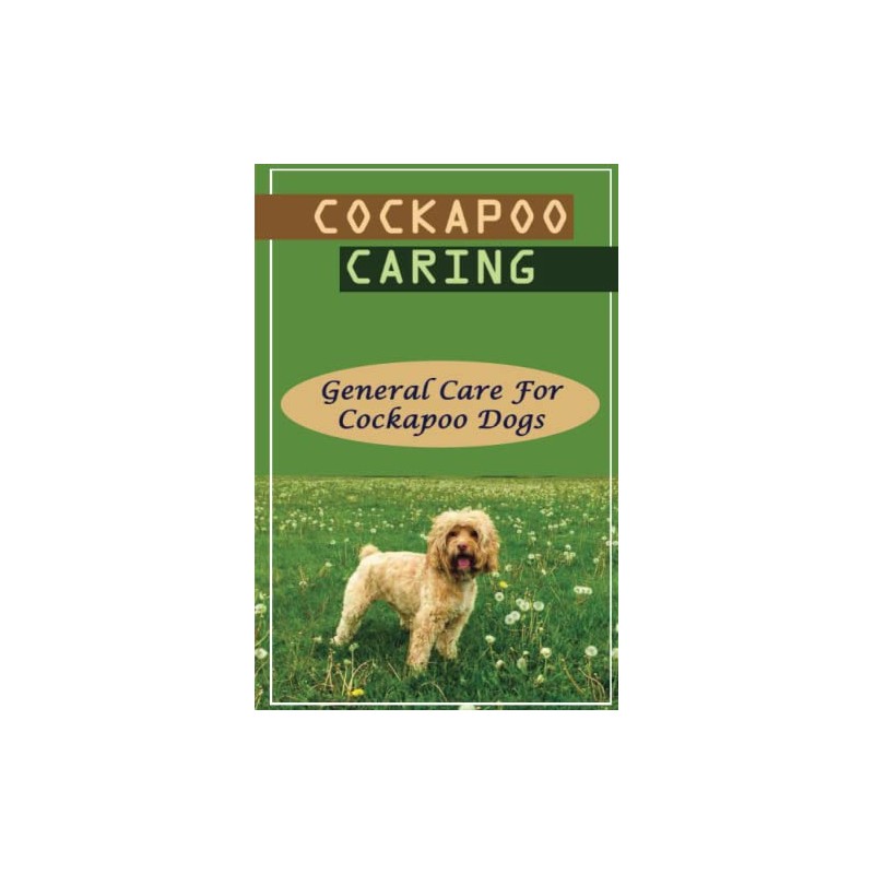 Cockapoo Caring: General Care For Cockapoo Dogs