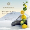 L'Occitane Lumiere Devil Rich Body Lotion, 8.5 fl oz (240