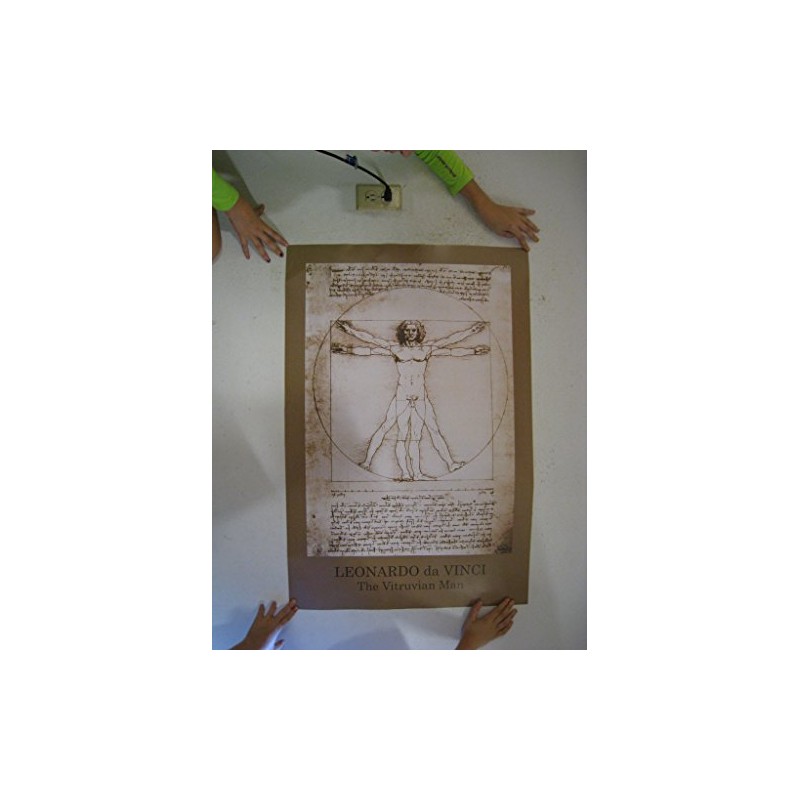 Studio B The Vitruvian Man Poster