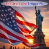 American Flag 2.5x4 FT, US Flag USA High Wind with